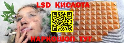 эйфоретик Тверь