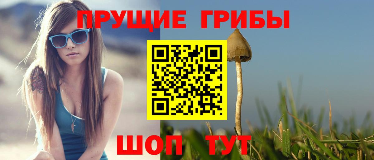 Галлюциногенные грибы GOLDEN TEACHER Орск